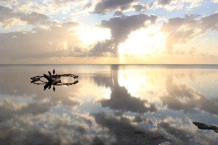 A dhow, traditional vessel used in the Indian Ocean and Red Sea region, anchored on a very calm sea at sunriseの写真素材