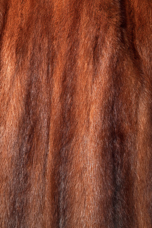 Brown mink coat used as fur texture or natural backgroundの写真素材