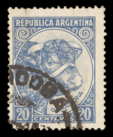 ARGENTINA - CIRCA 1951: A postage stamp printed in Argentina shows Bull and Cattle Breeding, circa 1951のeditorial素材