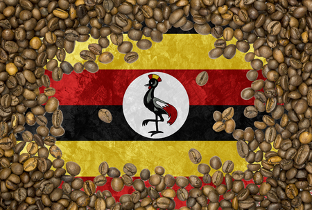 National country flag of Uganda under a background of roasted brown coffee beansの写真素材