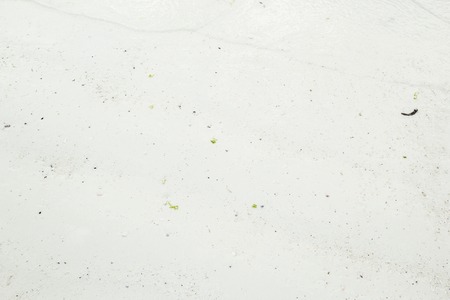 Background of white sand from a tropical beach. Can be used as texture or background.の写真素材