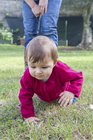 One year old baby girl looking at grass while crawling in gardenの写真素材