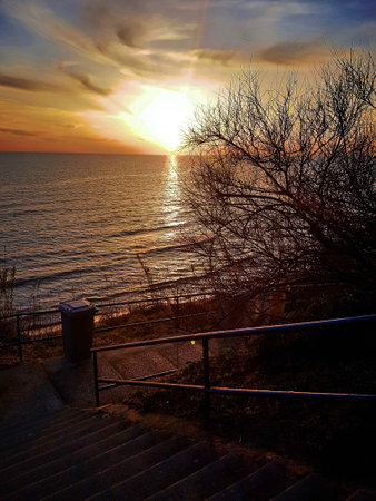 Staircase to go to beach with branch and sun setting.の写真素材