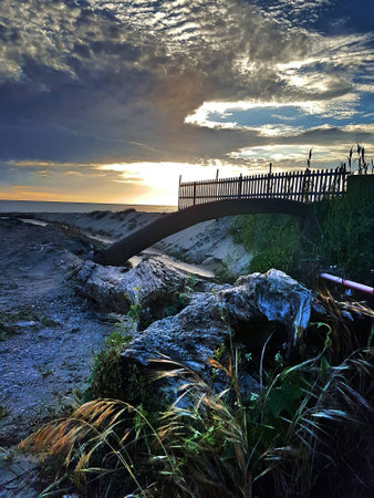 Weeds on the beach with stormy sky and sun setting.の写真素材