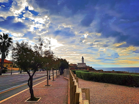 Tree road with lighthouse and cloudsの写真素材