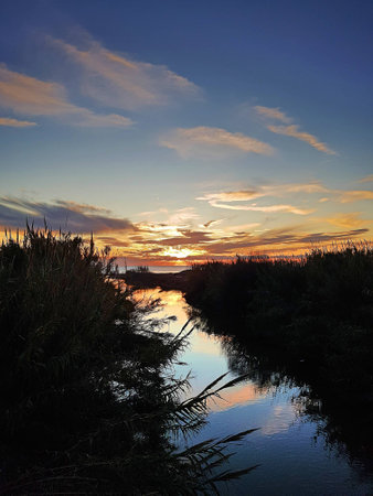 Reflections in the river between the reed and the sun setting in the sea.の写真素材