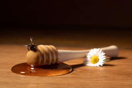 Wooden honey dripper spoon lie on table with blob underneath and bee sitting on the stick right next...