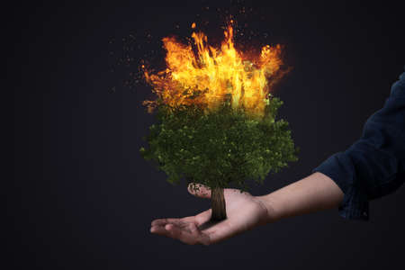male hand holding tree on fire as sign for global warmingの写真素材