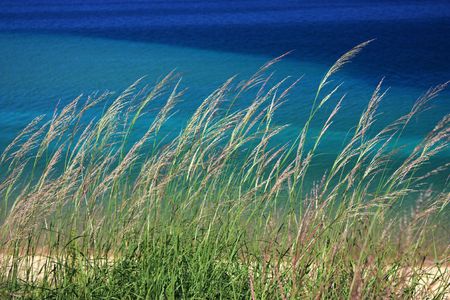 Michigan Dunegrassの写真素材