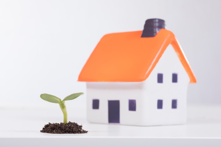 Small green plant sprouting through pile of soil near small toy house with orange roof, viewed in close-up from low angleの写真素材