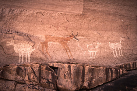 Painted Anasazi petroglyphs representing animals in the Canyon de Chelly National Monument - Arizona.のeditorial素材