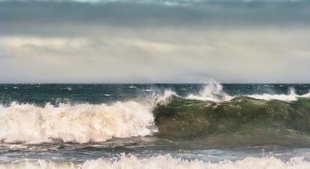 A wave (pacific ocean).の写真素材