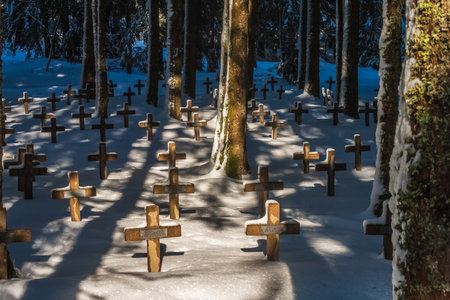 The Duchesne cemetery covered in snow in the Vosges mountains, France, where the french soldiers died fighting against german invaders during the World War I.のeditorial素材