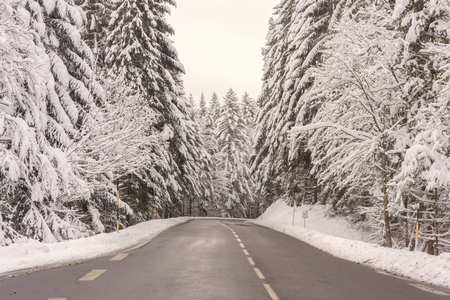 A cleared road in the mountains surrounded by snowy firs in early winter (november 2017) in the Vosges (France) の写真素材