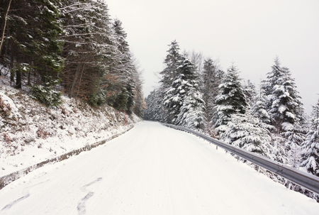 A snowy road in the Vosges mountains (France) in early winter, november 2017.の写真素材