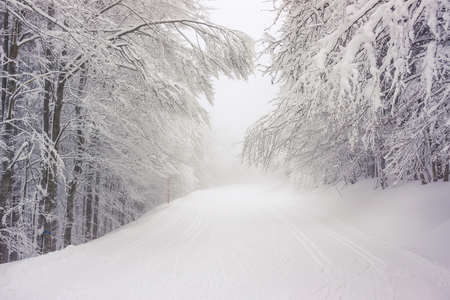 A road covered in snow in a snowy and frozen forest in a foggy atmosphere - Vosges, France - december 2017の写真素材