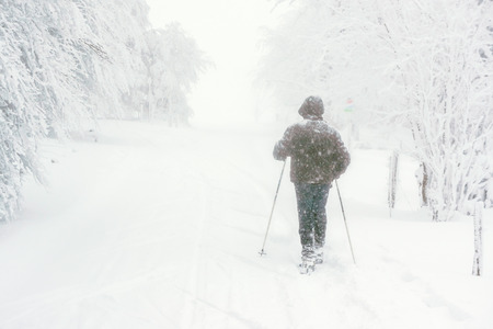 A snowshoeing hiker trekking on a trail in the mountain while it's snowing heavily. Vosges (France), november 2017.の写真素材