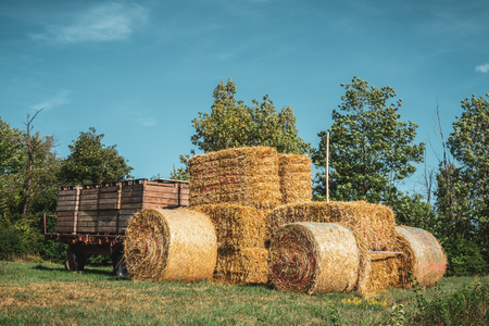 Farm tractor made of haystacks, bales of hay and straw with trailer on a grass field in summer, Alsace, France.の写真素材