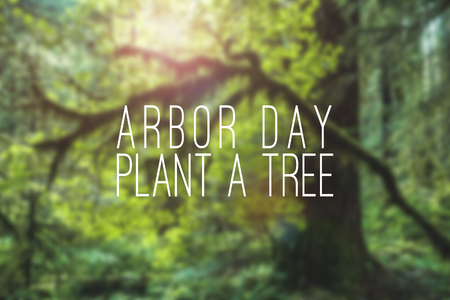 Arbor Day plant a tree mockup with forest or trees or green natural blurry backdrop or background. Holiday event concept.の写真素材