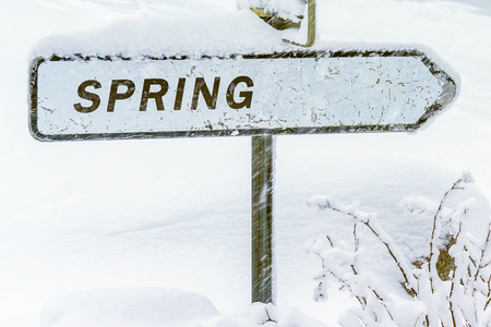 Spring direction sign covered with snow in winter. Season concepts. End of winter, beginning of Spring.の写真素材