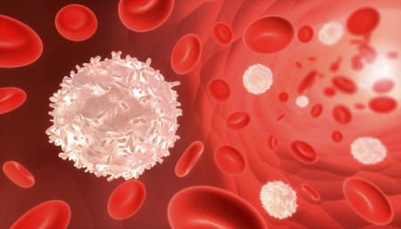 White and red blood cells flowing through a blood vessel. Medical and biology 3D render illustration.の写真素材