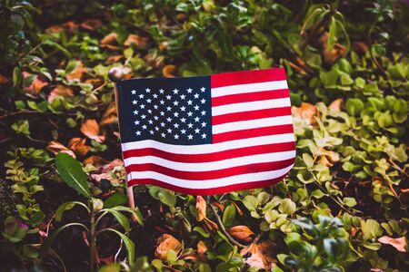 Close-up of a small american flag put up among vegetation or greenery. USA and nature concept.の写真素材