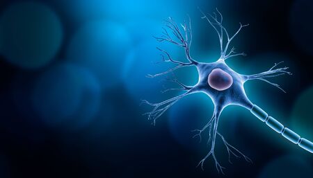 Neuron cell body with nucleus design, 3D rendering illustration with copy space and blue background. Neuroscience, neurology, biology, psychology, medicine, microbiology, scientific research graphic concepts.の写真素材
