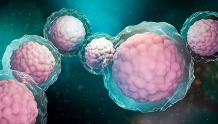 Group of stem cells with membrane and nucleus close-up on a blue green background. Biomedical, biology, microbiology, science, medicine microscopic 3d rendering illustration. Artist vision.の写真素材