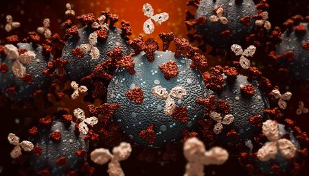 Monoclonal antibodies or immunoglobulin fighting against a group of coronavirus or covid cells 3D...