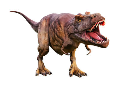 Tyrannosaurus Rex or T_Rex scientifc and realistic reconstitution isolated on a white background. 3D rendering illustration of the king of dinosaurs.の写真素材