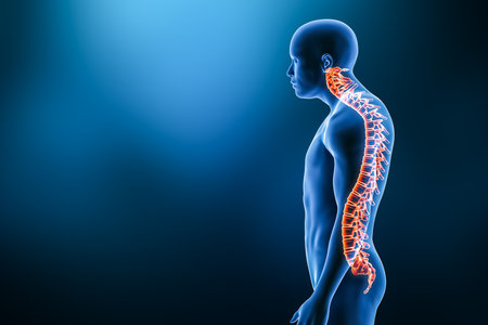 Kyphosis pathology with man model from lateral view 3D rendering illustration with copy space. Human anatomy, spinal disorders or deformity, curvature of the spine, backbone pathology, medical concepts.の写真素材