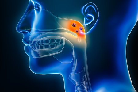 Nasopharynx cancer with organs and tumors or cancerous cells 3D rendering illustration. Anatomy, oncology, pharynx disease, medical, biology, science, healthcare concepts.の写真素材