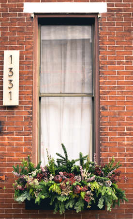 Window box arrangement filled with winter seasonal flowers and plants full window