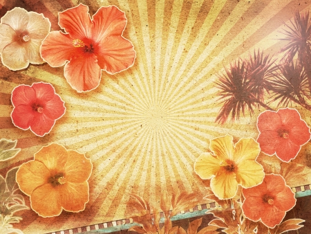 tropical backgroundの写真素材