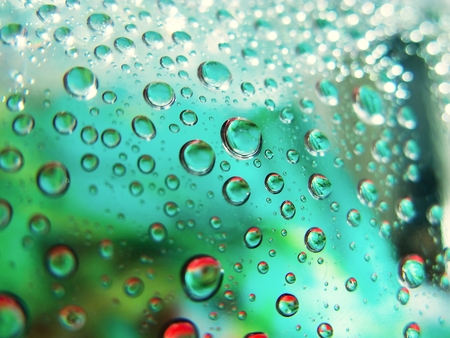 Water Dropsの写真素材