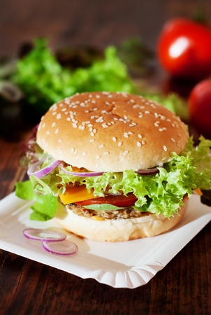 Fresh Homemade Burger / Vegetarian Cheeseburgerの写真素材