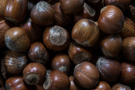Hazelnut background. Healthy nutrition for healthy lifestyleの写真素材