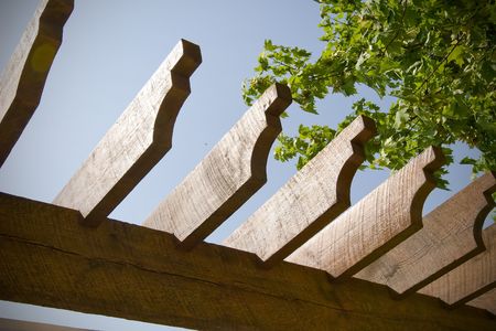 An outdoor overhead trellace over a patioの写真素材
