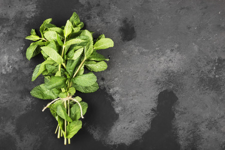 Bunch fresh mints on a dark background. Top view, copy space. Food background