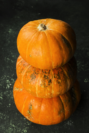 Ripe pumpkins on a green backgroundの写真素材