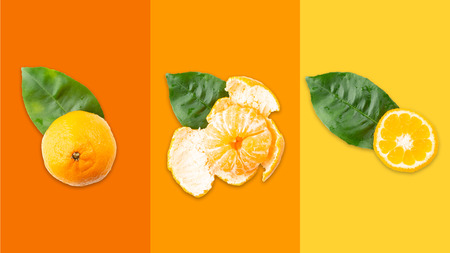 Slices of tangerine or orange. Fruit background. Flat lay, isolated on color background. Food background. Top viewの写真素材