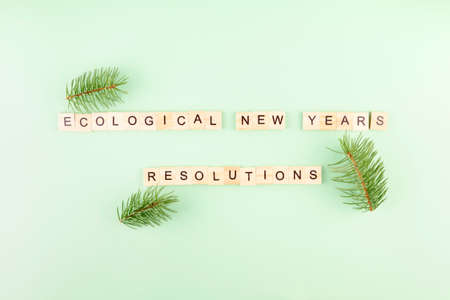 Phrase Ecological new year's resolutions in wooden letters on green background, fir branches around