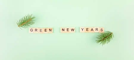 Phrase "Green new years" in wooden letters on green background, fir branches aroundの写真素材