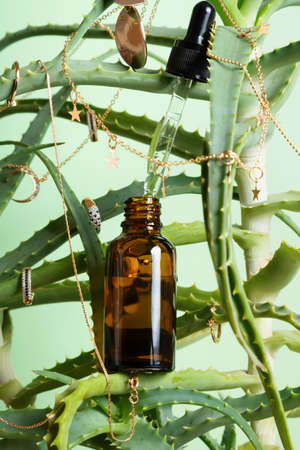 Concept is natural cosmetics. Serum with aloe extract. Plant with gold jewelry and serumの写真素材