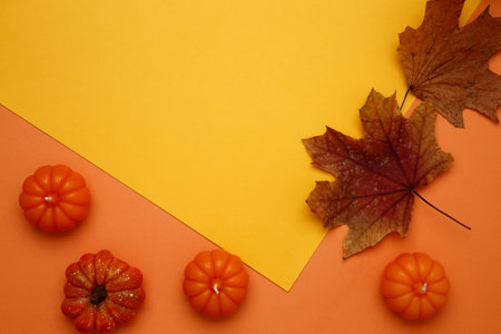 Halloween decoration pumpkins maple leaves autumn festive moodの写真素材