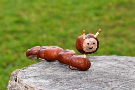 Autumn creative hobby - animal made from chestnutsの写真素材