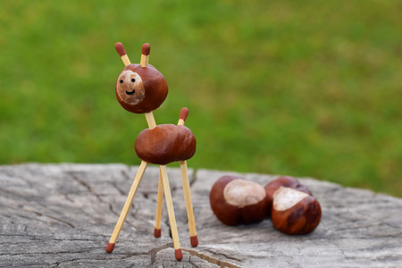 Animal made from chestnutsの写真素材