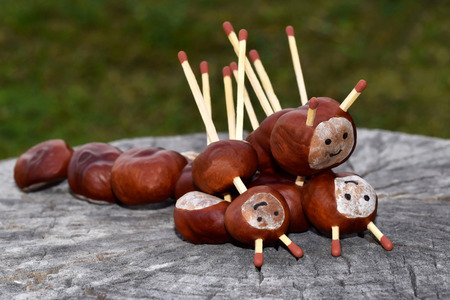A group of figurines made from chestnutsの写真素材