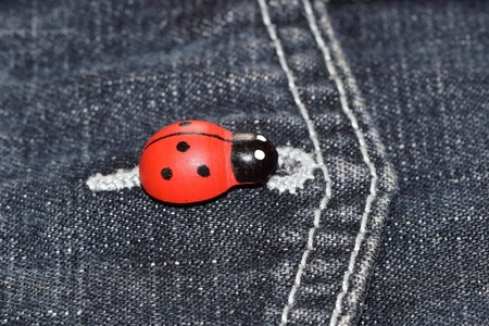 Ladybug on the buttonhole of a denim pocketの写真素材