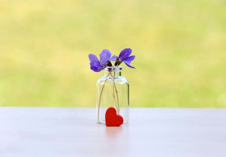 Wooden red heart with viola odorata flower in a glass vialの写真素材